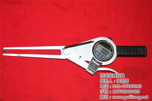 東營數顯外卡規 外卡規 桂量量具特殊卡規 查看