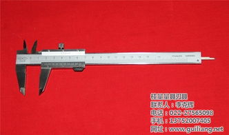 杭州游標(biāo)卡尺采購服務(wù)至上 多圖