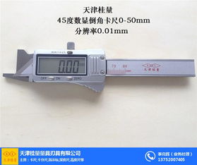 異形外溝槽卡尺訂做,卡尺,桂量量具非標量具廠 查看